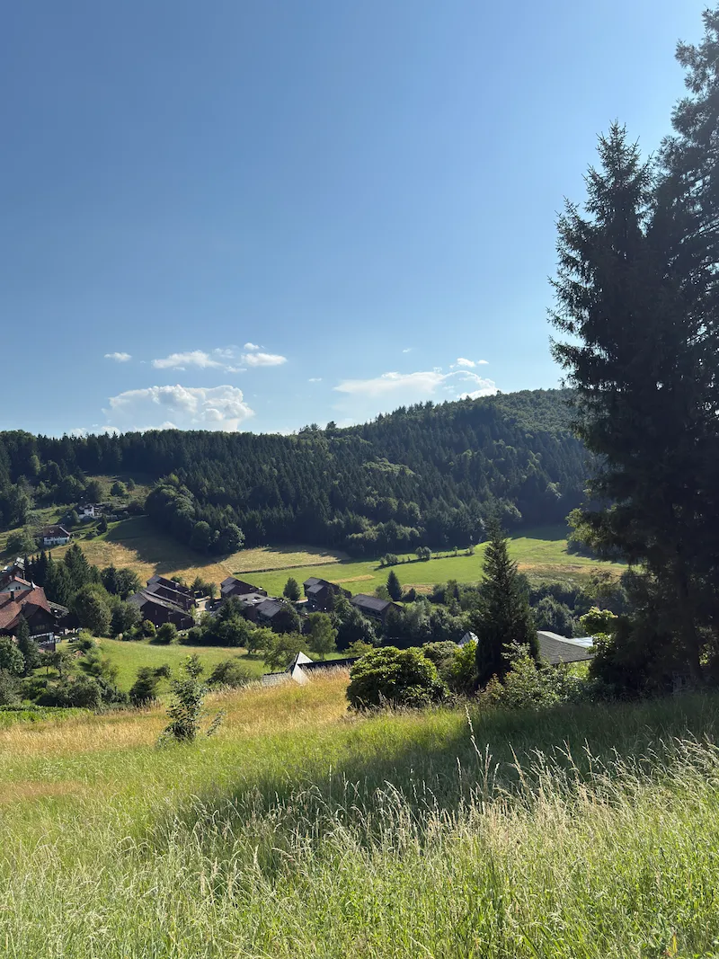 Schwarzwald Landschaft für MTB Shuttle