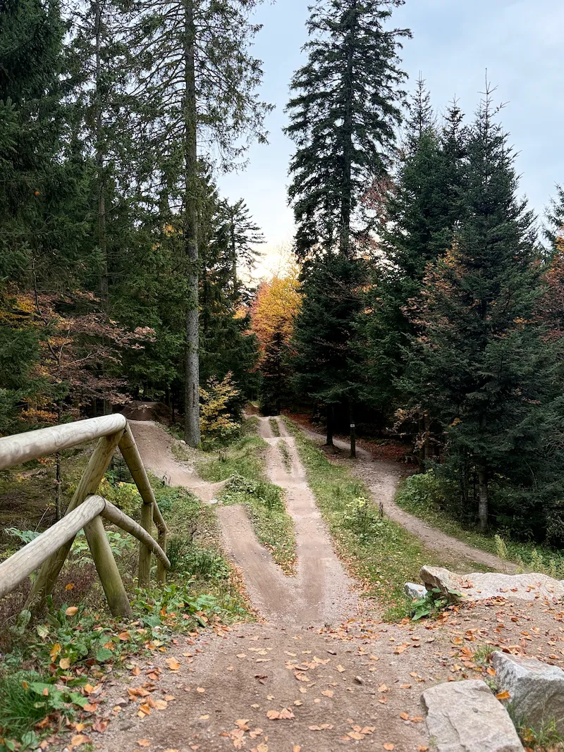 MTB Trail Downhill im Schwarzwald
